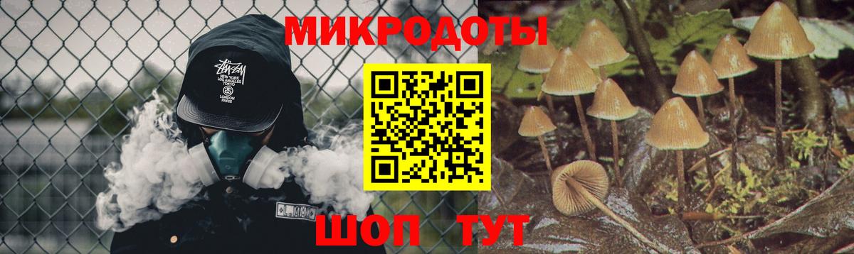 Галлюциногенные грибы Magic Shrooms Дзержинск